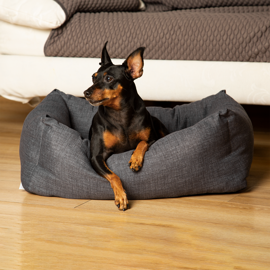 Bed for cats and dogs | Snuggy